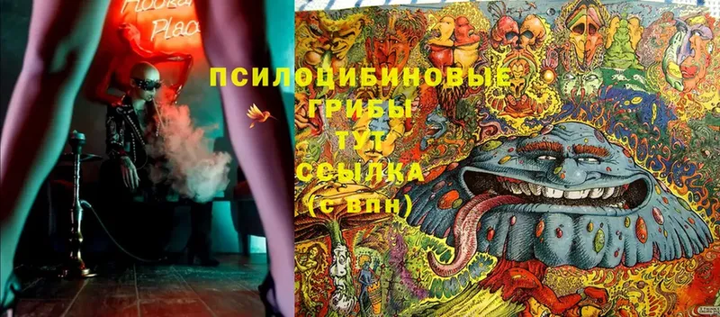 Галлюциногенные грибы MAGIC MUSHROOMS  мориарти клад  Бикин 